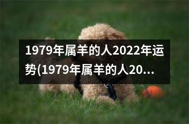 1979年属羊的人2025年运势(1979年属羊的人2025年运势及运程)