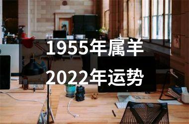 1955年属羊2022年运势