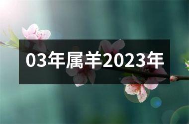 03年属羊2023年