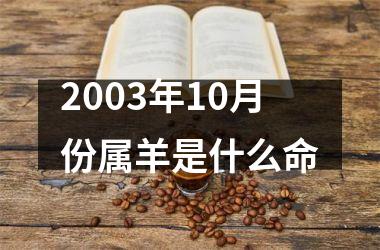 2003年10月份属羊是什么命