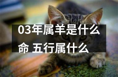 03年属羊是什么命 五行属什么
