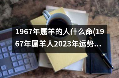 1967年属羊的人什么命(1967年属羊人2023年运势男性)