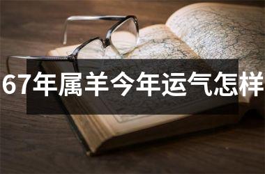 67年属羊今年运气怎样