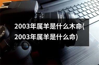 2003年属羊是什么木命(2003年属羊是什么命)