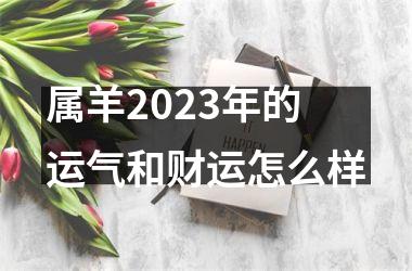 属羊2025年的运气和财运怎么样