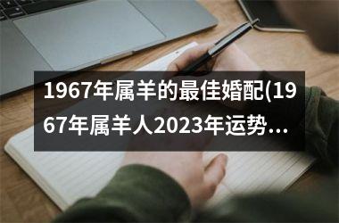 1967年属羊的最佳婚配(1967年属羊人2023年运势男性)