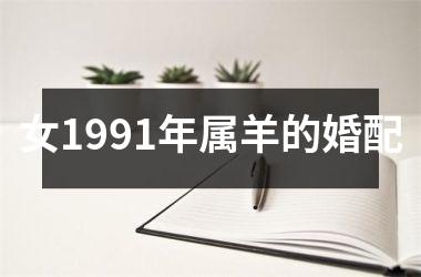 女1991年属羊的婚配