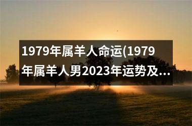 1979年属羊人命运(1979年属羊人男2023年运势及运程)