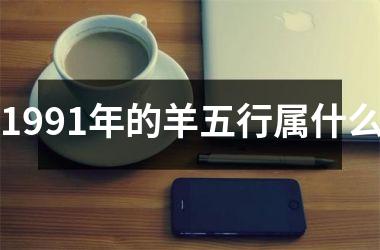 1991年的羊五行属什么