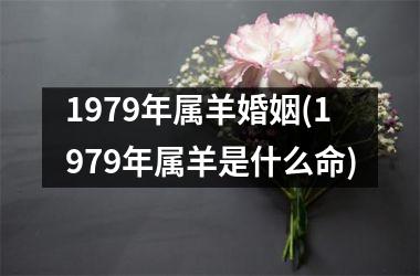 1979年属羊婚姻(1979年属羊是什么命)