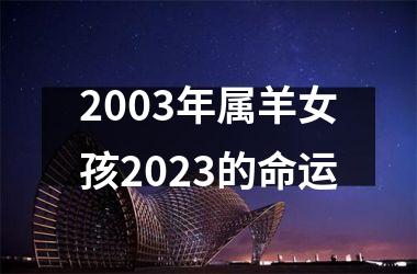 2003年属羊女孩2023的命运