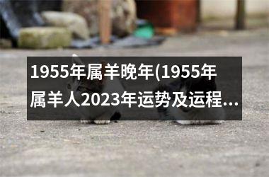 1955年属羊晚年(1955年属羊人2023年运势及运程)