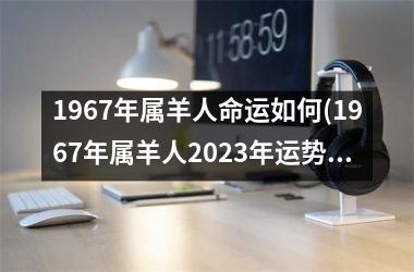 1967年属羊人命运如何(1967年属羊人2023年运势男性)