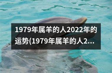 1979年属羊的人2022年的运势(1979年属羊的人2023年运势及运程)