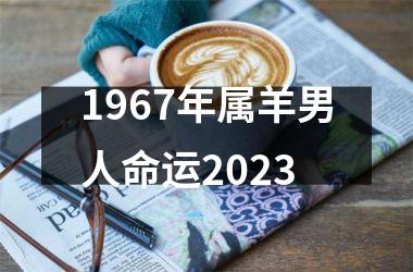 1967年属羊男人命运2023