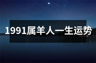 1991属羊人一生运势