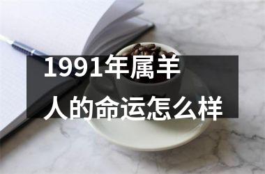 1991年属羊人的命运怎么样