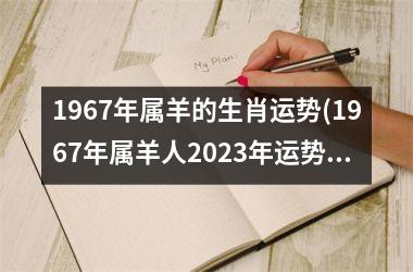 1967年属羊的生肖运势(1967年属羊人2023年运势男性)