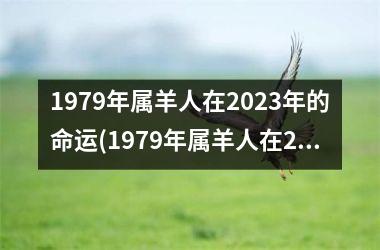 1979年属羊人在2023年的命运(1979年属羊人在2023年运势)
