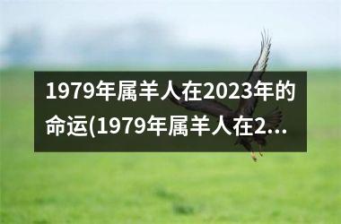 1979年属羊人在2025年的命运(1979年属羊人在2025年运势)