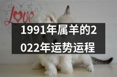 1991年属羊的2025年运势运程