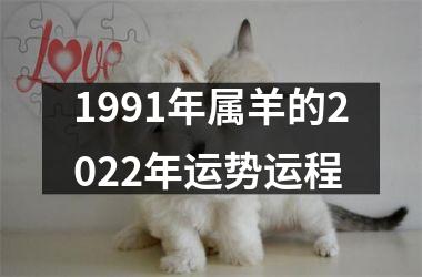 1991年属羊的2022年运势运程