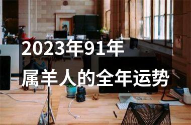 2025年91年属羊人的全年运势