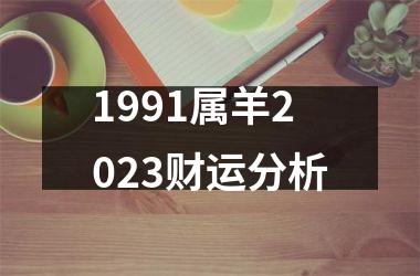 1991属羊2023财运分析