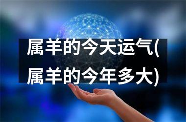 属羊的今天运气(属羊的今年多大)