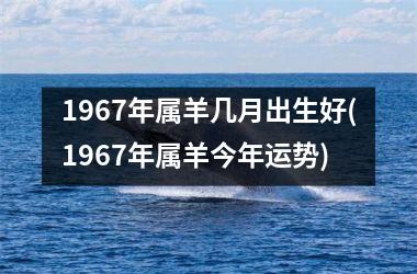 1967年属羊几月出生好(1967年属羊今年运势)