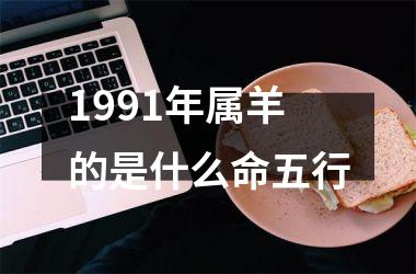 1991年属羊的是什么命五行