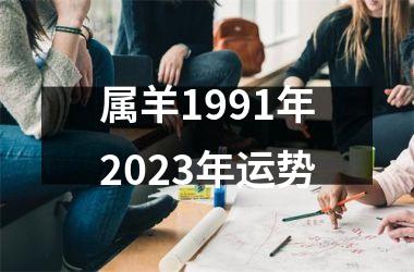 属羊1991年2023年运势