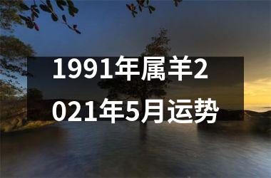 1991年属羊2025年5月运势