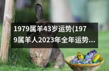 1979属羊43岁运势(1979属羊人2025年全年运势详解)
