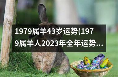 1979属羊43岁运势(1979属羊人2023年全年运势详解)