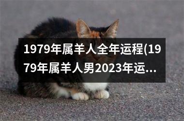 1979年属羊人全年运程(1979年属羊人男2025年运势及运程)