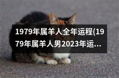 1979年属羊人全年运程(1979年属羊人男2023年运势及运程)