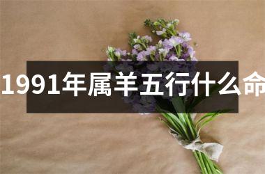 1991年属羊五行什么命