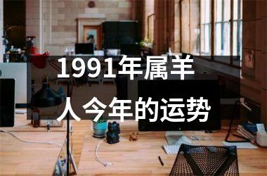 1991年属羊人今年的运势