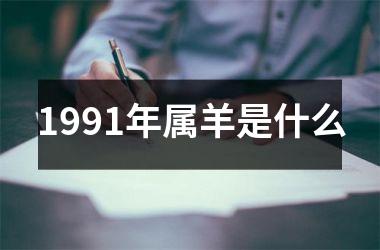 1991年属羊是什么
