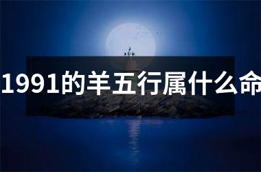 1991的羊五行属什么命