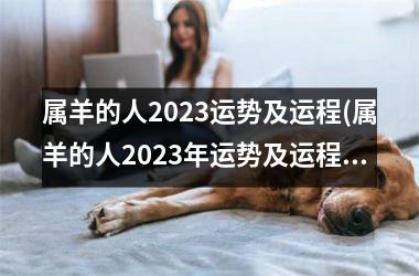 属羊的人2025运势及运程(属羊的人2025年运势及运程)