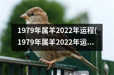 1979年属羊2022年运程(1979年属羊2022年运势)