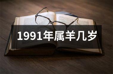 1991年属羊几岁