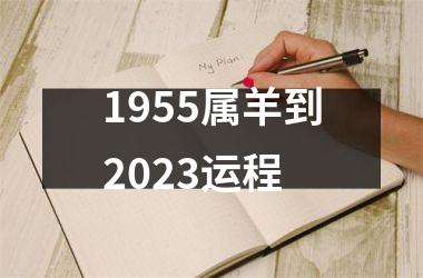 1955属羊到2023运程