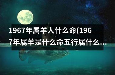 1967年属羊人什么命(1967年属羊是什么命五行属什么)