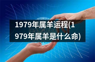 1979年属羊运程(1979年属羊是什么命)