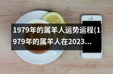 1979年的属羊人运势运程(1979年的属羊人在2025年会有情动吗)