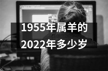 1955年属羊的2022年多少岁