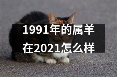 1991年的属羊在2025怎么样